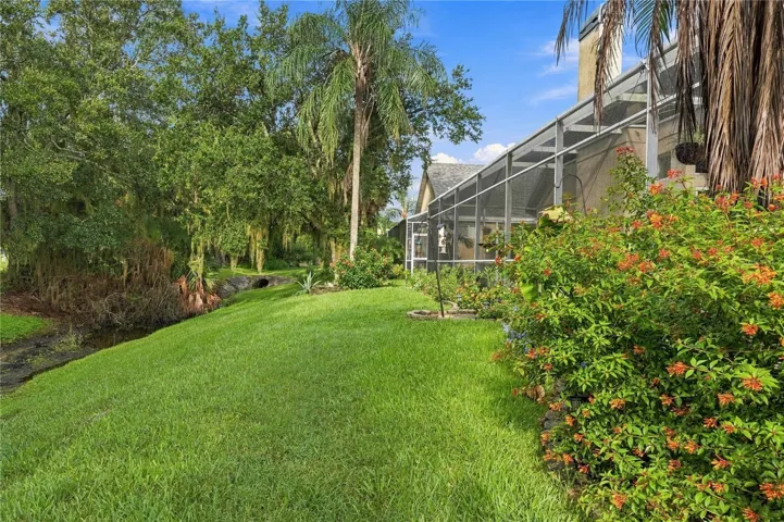 Rear Yard