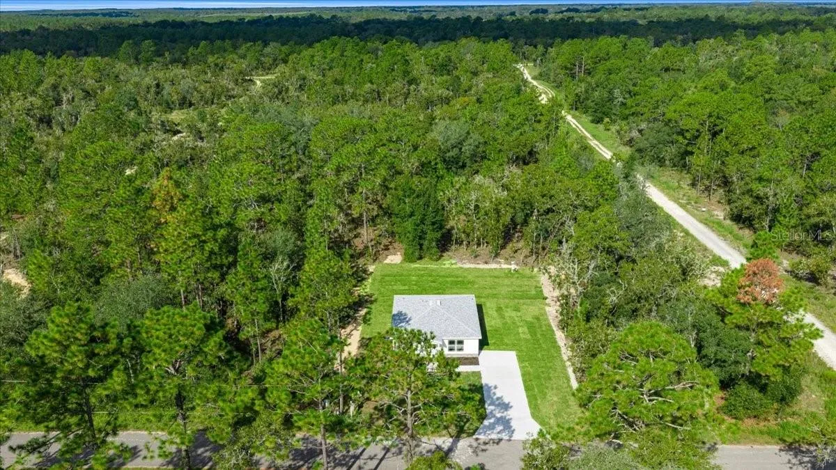 Surrounded by woods!!