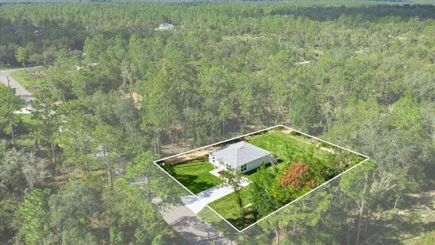 Surrounded by woods!!
