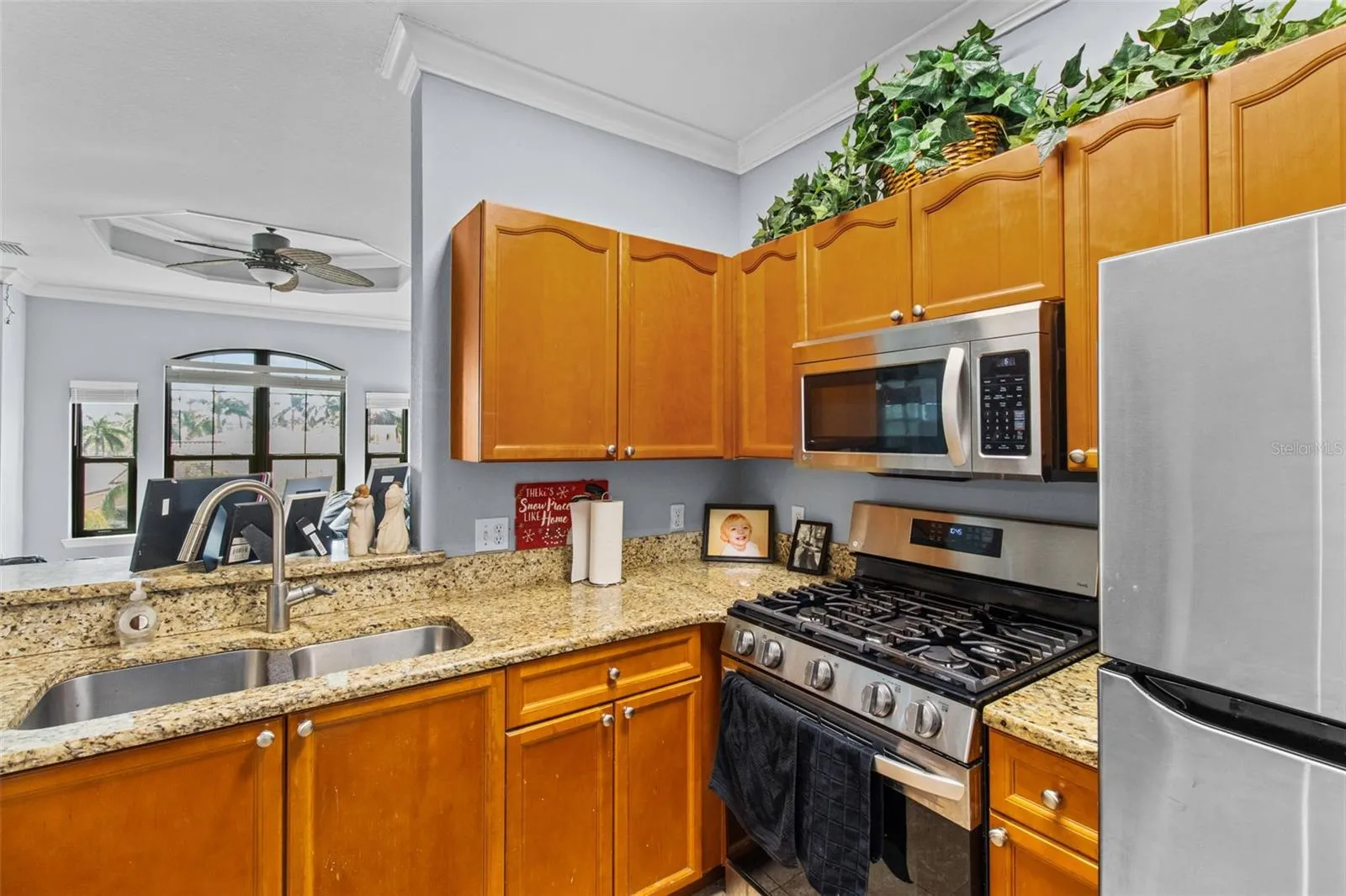 kitchen with views of the pool and palm trees