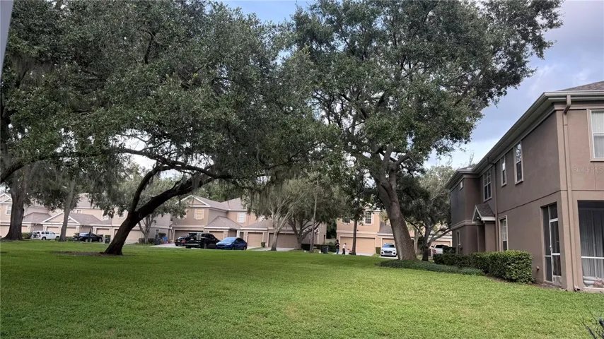 Beautiful Back View - No Neighbors