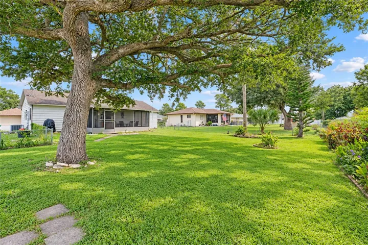 Backyard