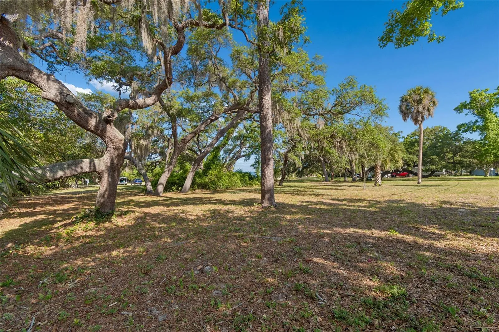 Live Oak Park