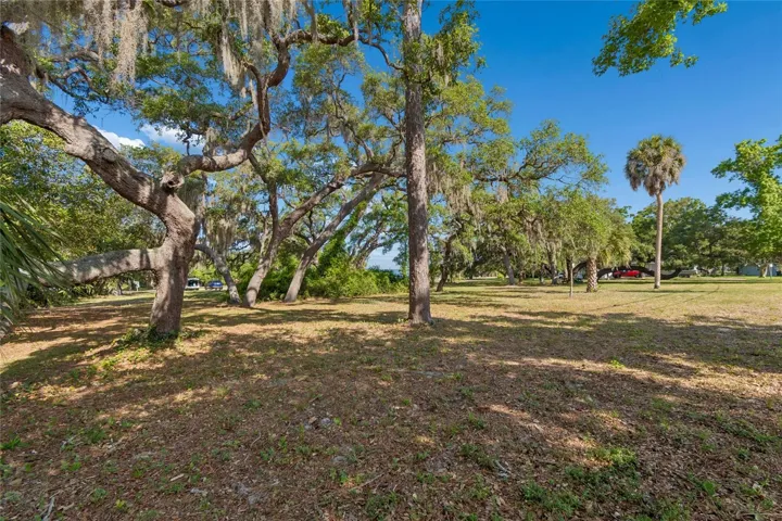 Live Oak Park
