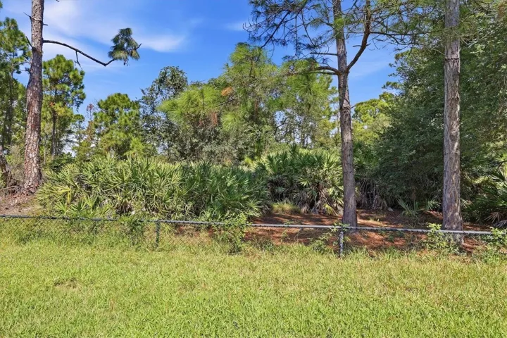 If you are looking for a piece of old Florida wonderful nature, this home has preserves in front and in the backyard. You'll feel miles away from it all!