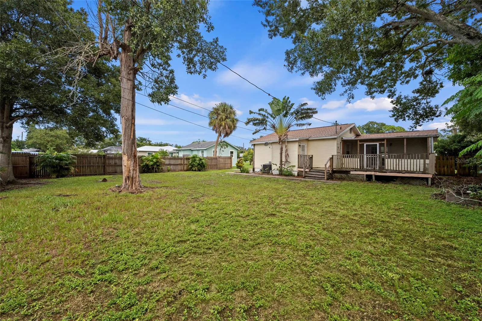 Backyard