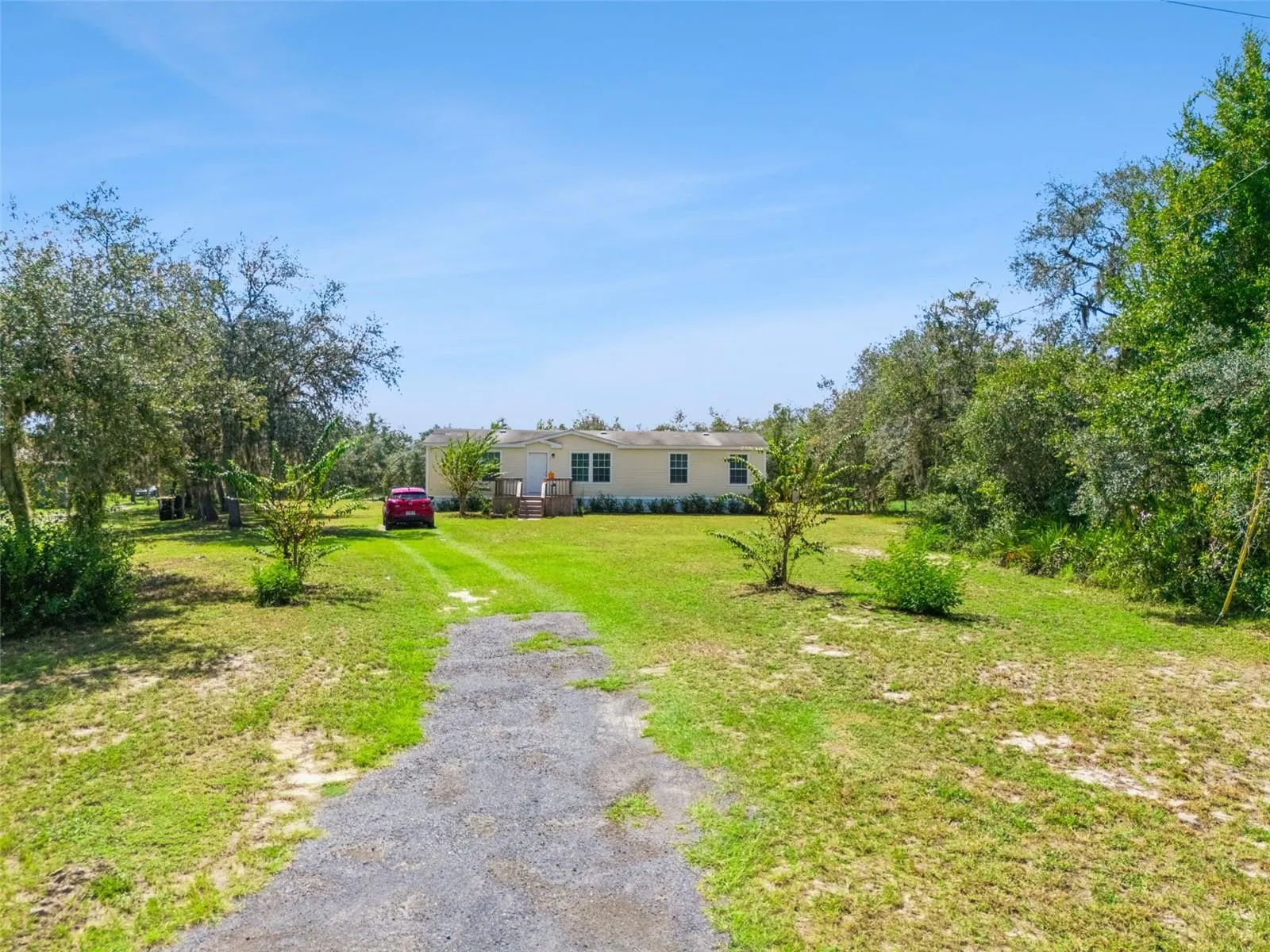 Front yard