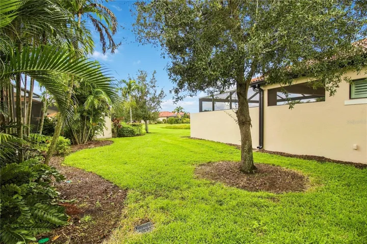Landscaped yard with mature tree