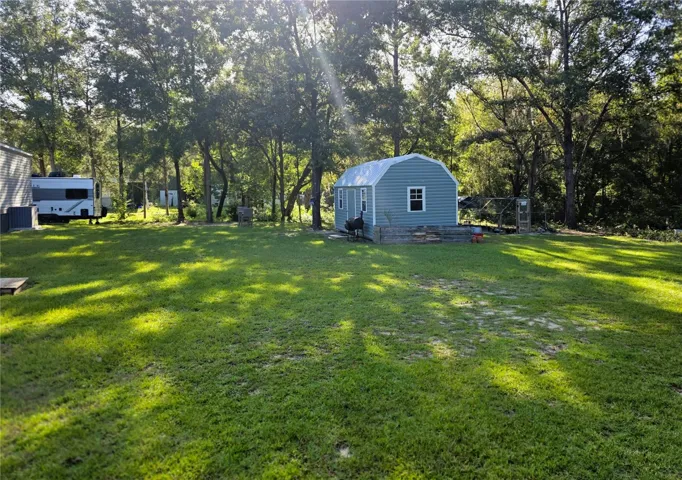 Rear View