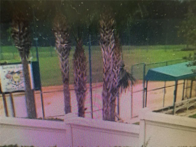 Baseball Field