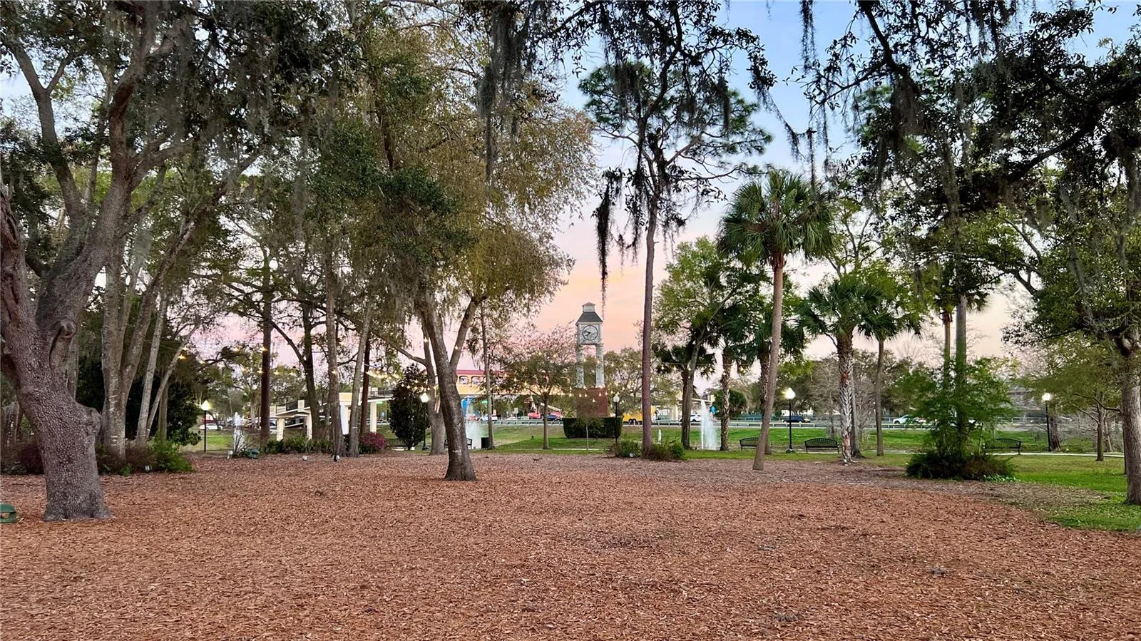 Central Park