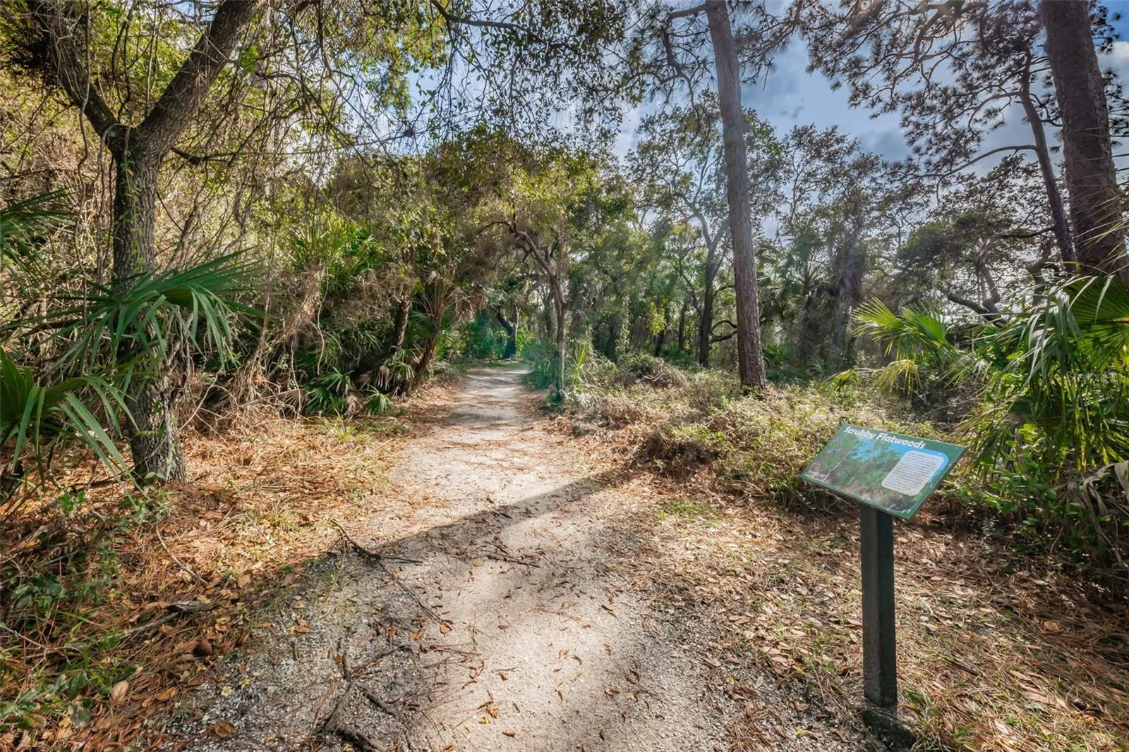 Hammock Park
