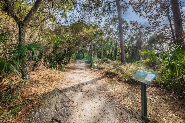 Hammock Park