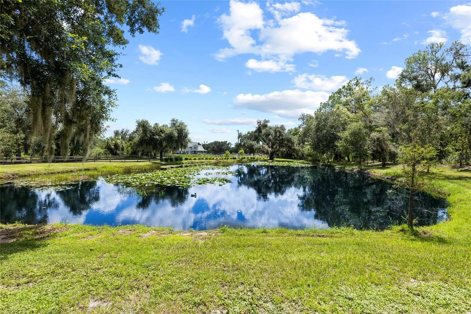 Close up of private pond. Fully stocked.