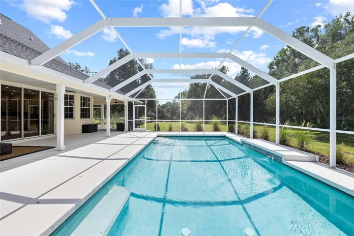Pool looking toward pond.