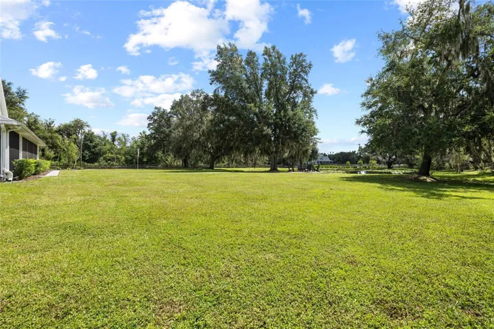 Rear and side property looking toward stocked pond.