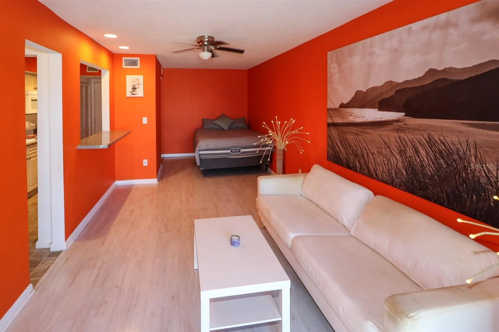 Dining/Living/Bedroom