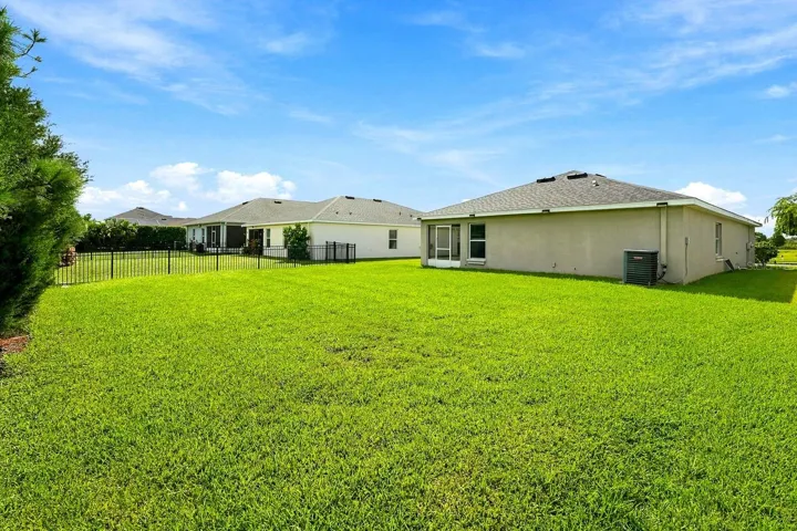 Back yard
