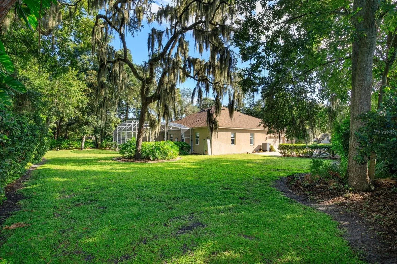 huge park-like backyard