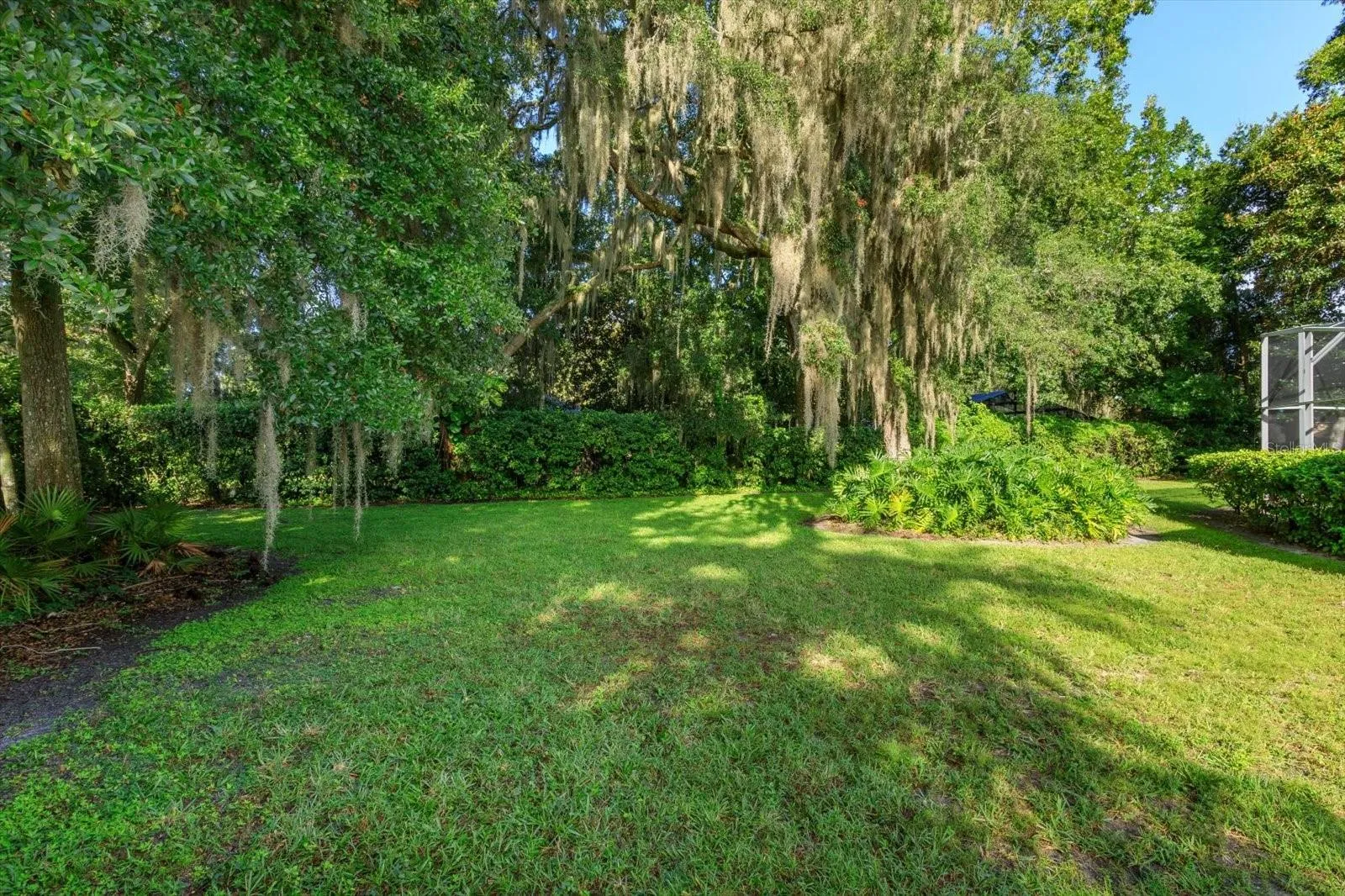 Peaceful backyard
