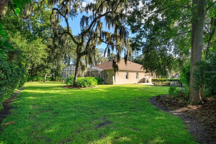 huge park-like backyard