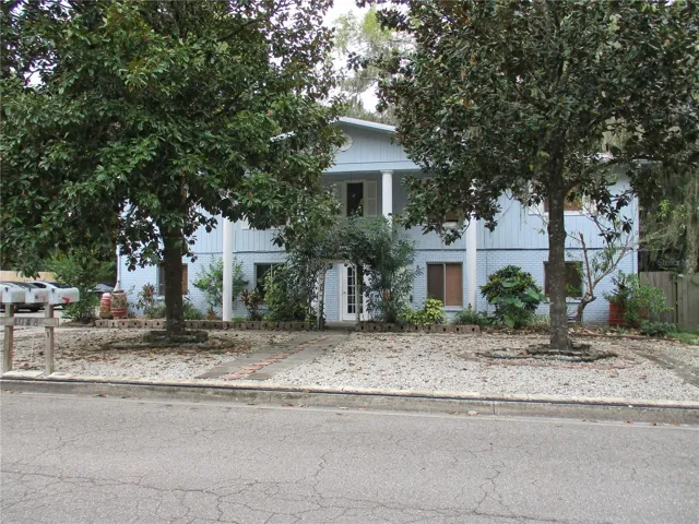Front view