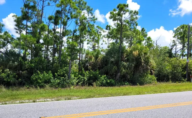 107 feet of road frontage.