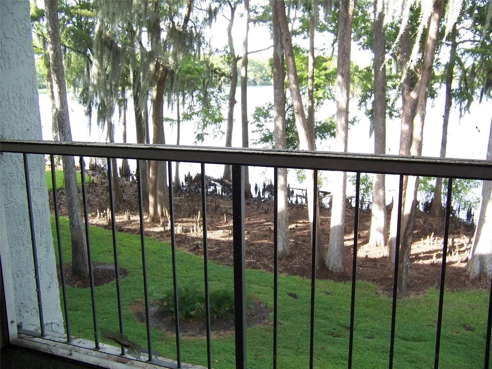 View from Balcony