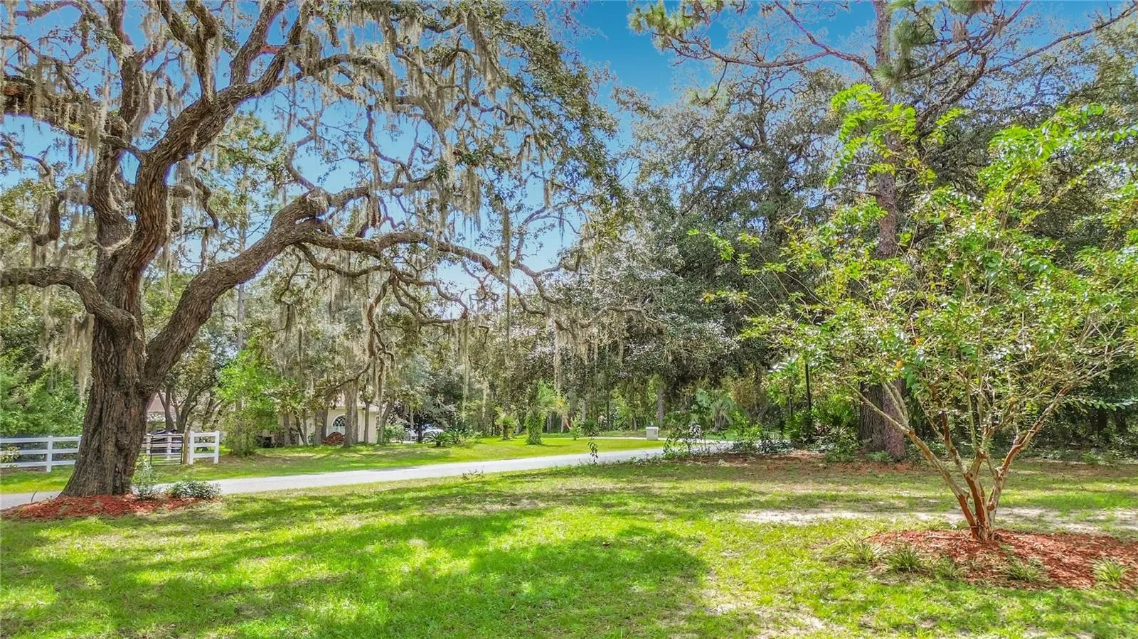 Front Yard