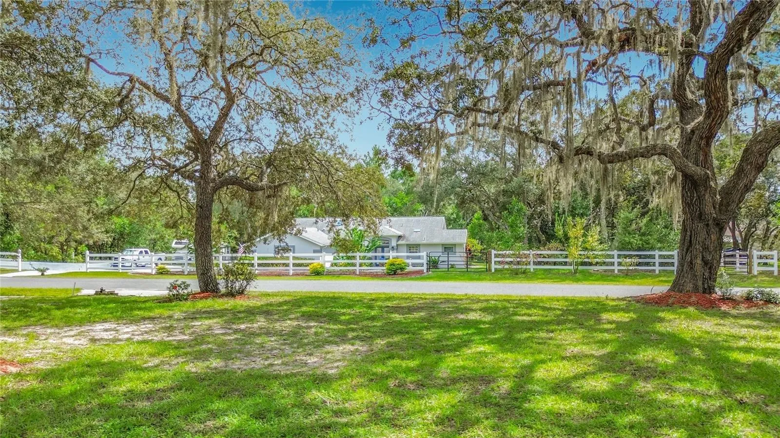 Front Yard