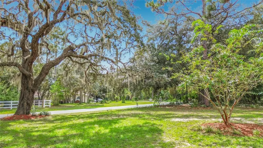 Front Yard
