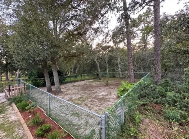 The Fenced dog area