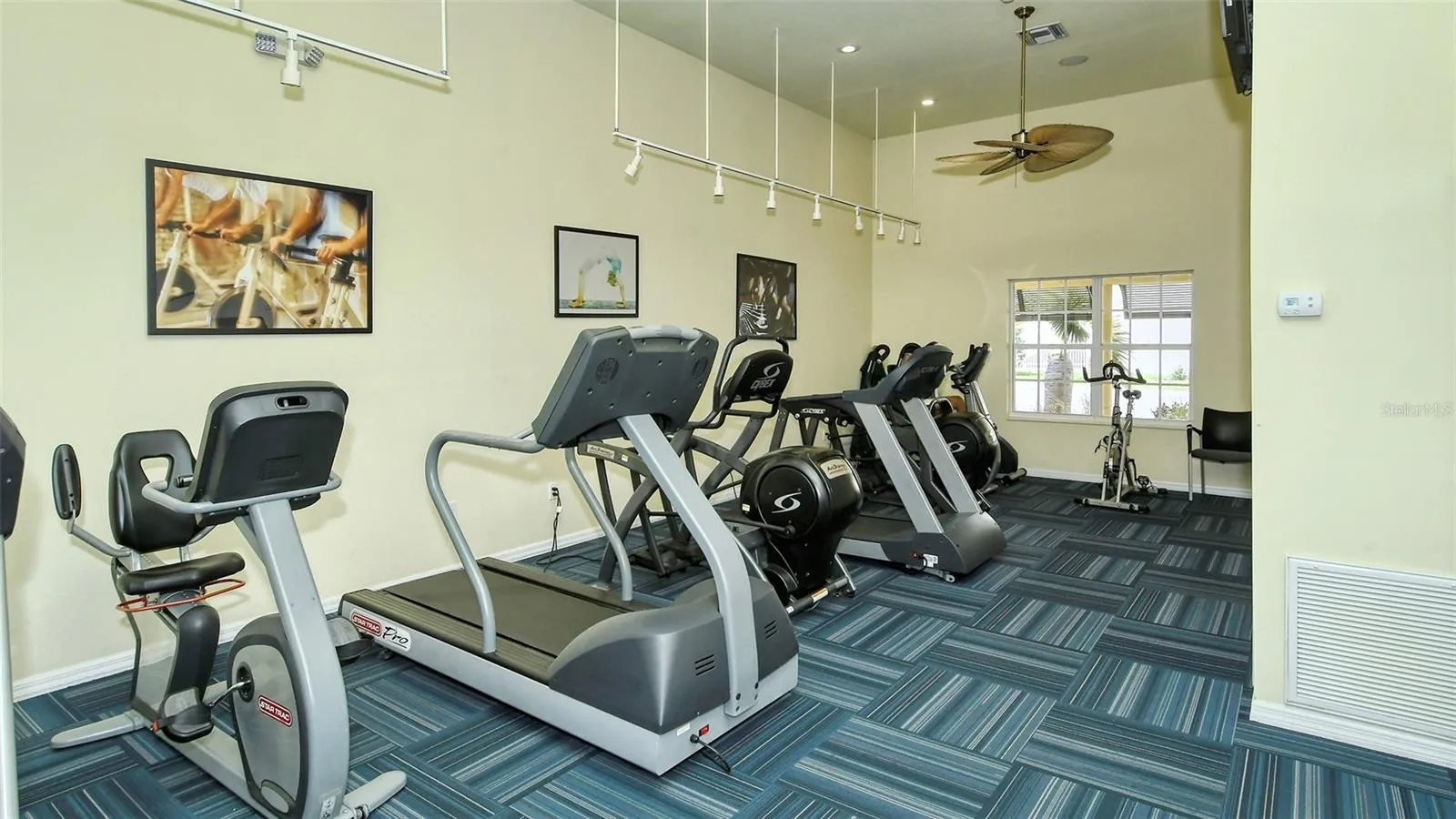 The gym