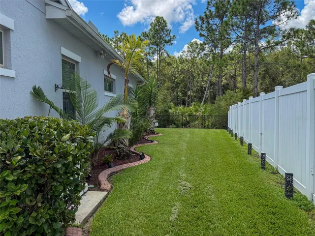 BACKYARD LEFT SIDE VIEW