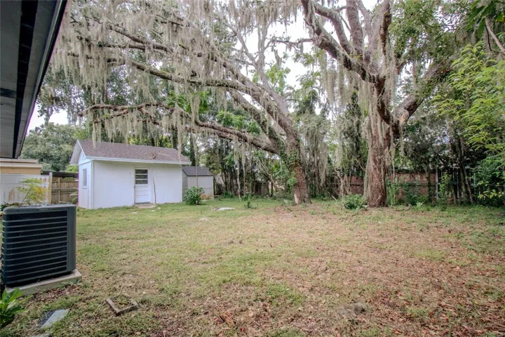 Large Backyard