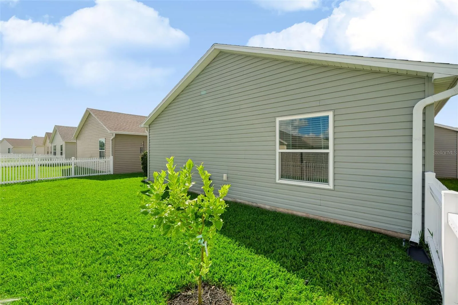 Fenced Yard