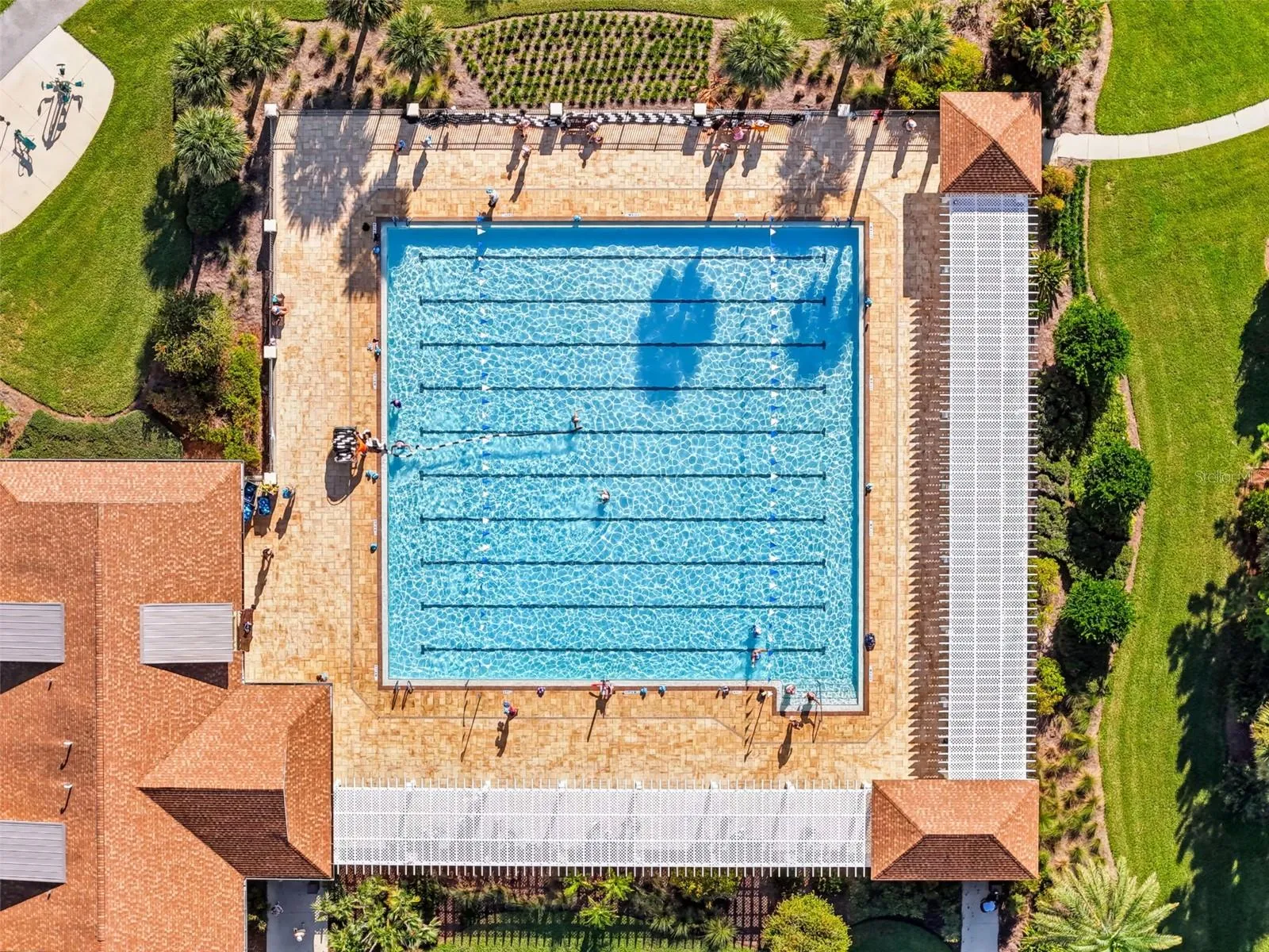 Everglades Rec Center Sports Pool