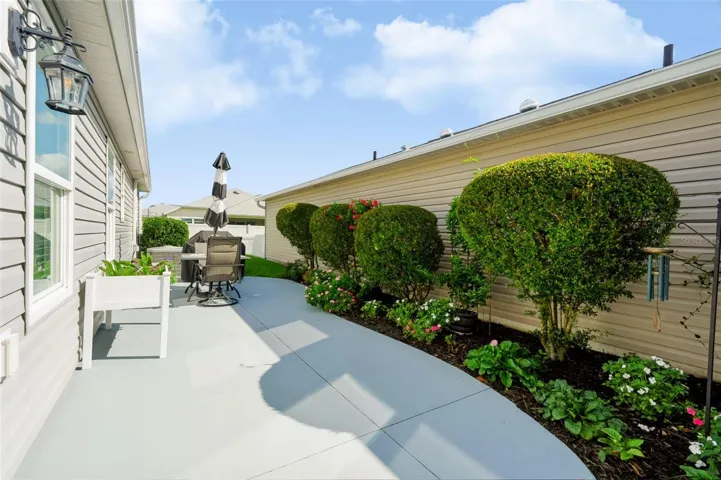 Patio and Shrubs