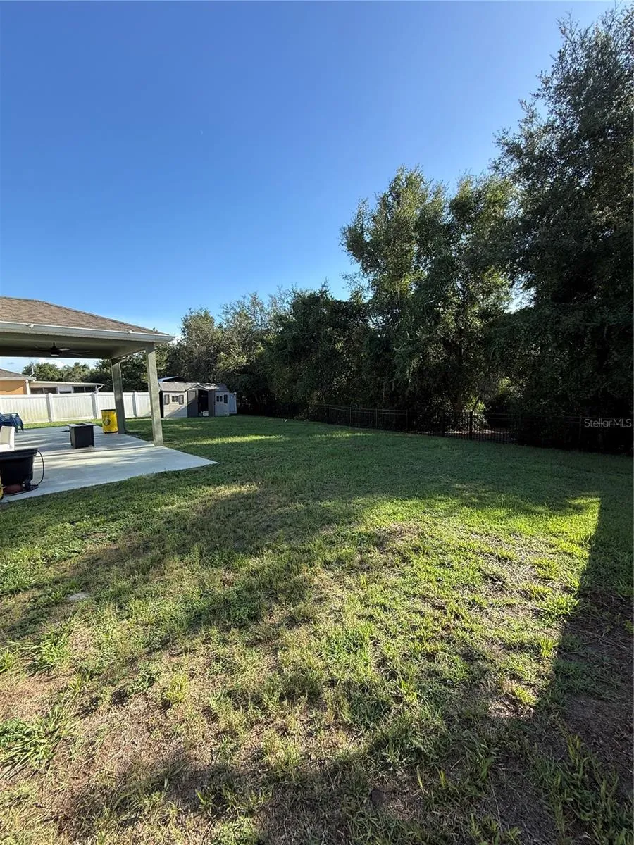 Backyard image 1