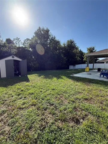 Backyard image 2