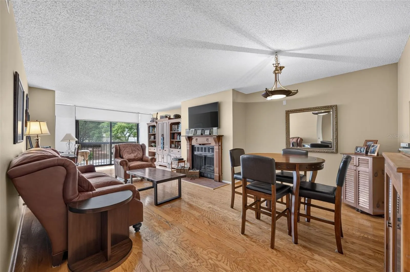 Dining/Living Room Area