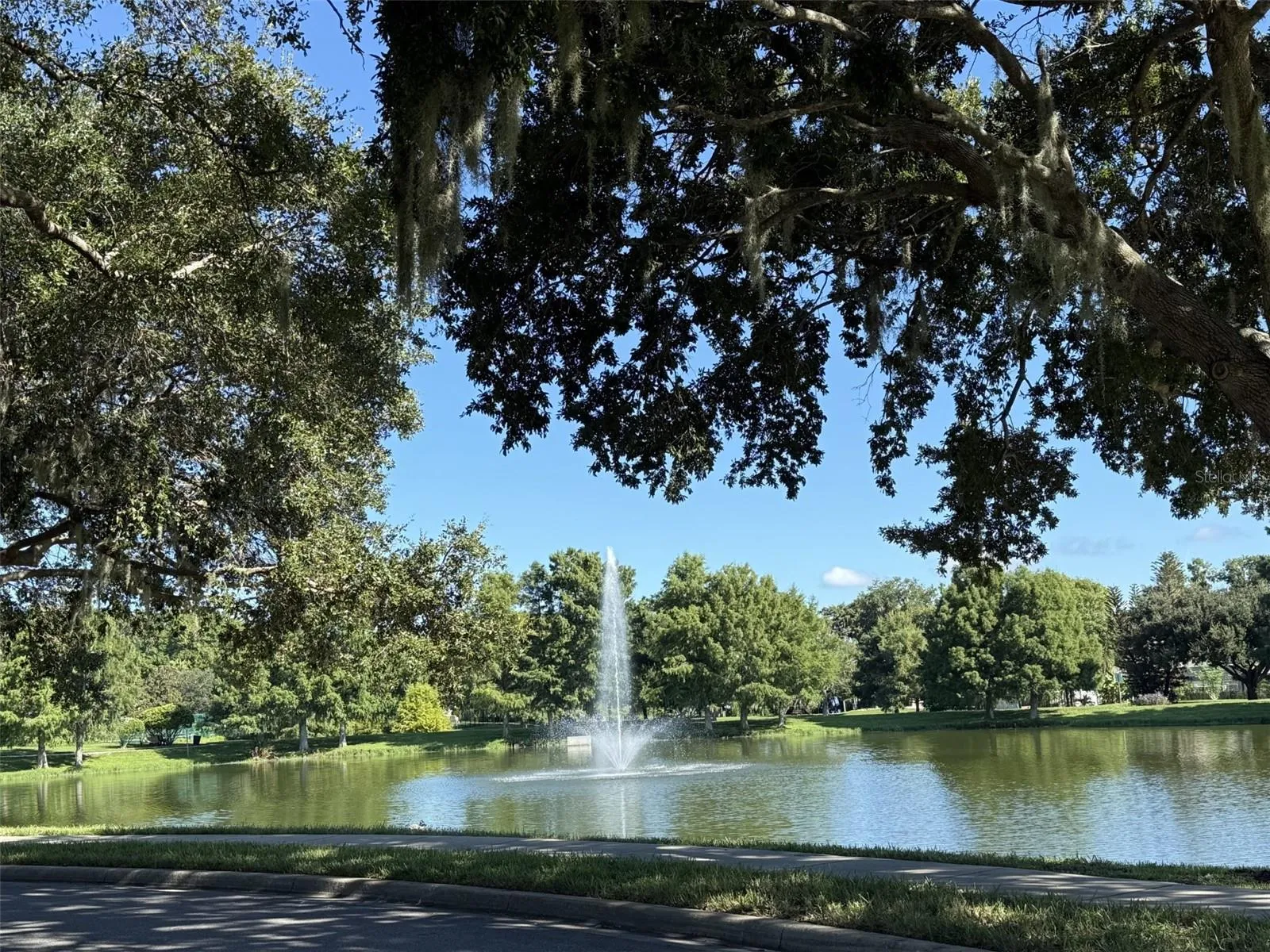 Parkstone Community Pond