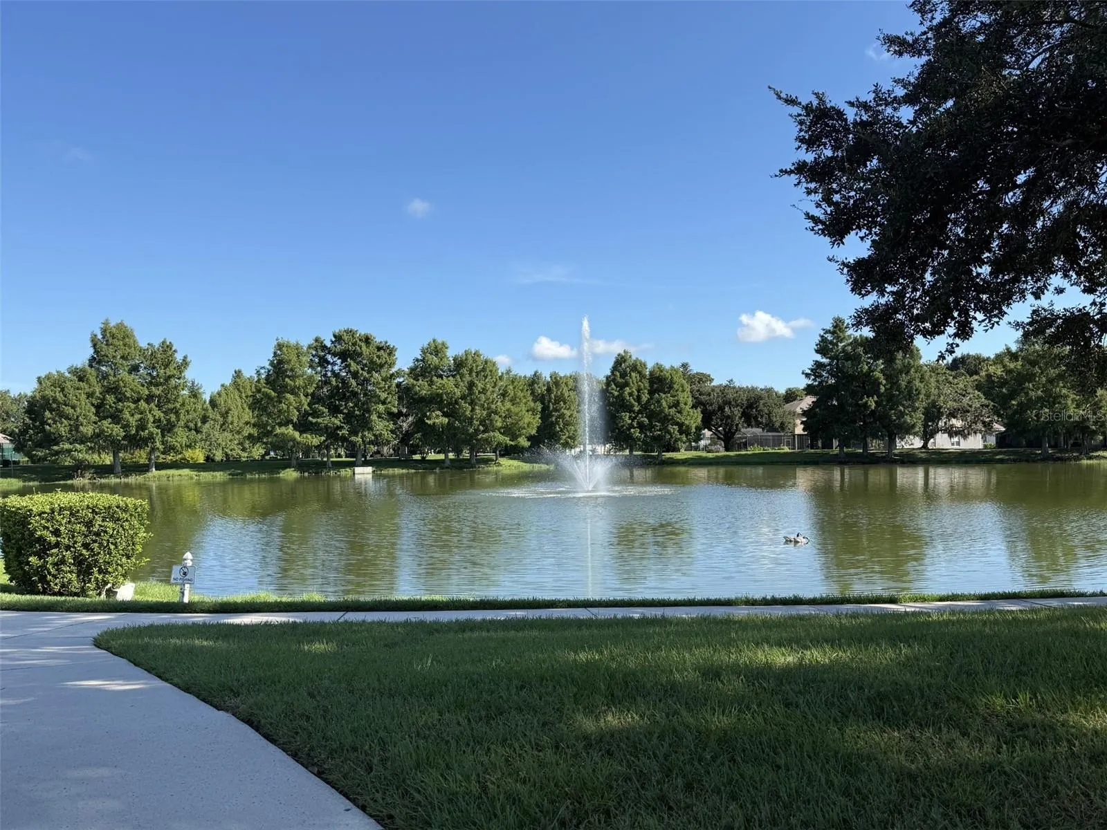 Parkstone Community Pond
