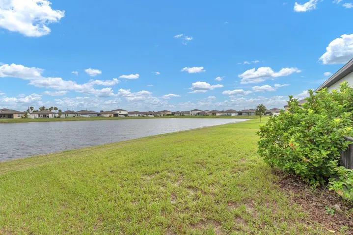 pond view