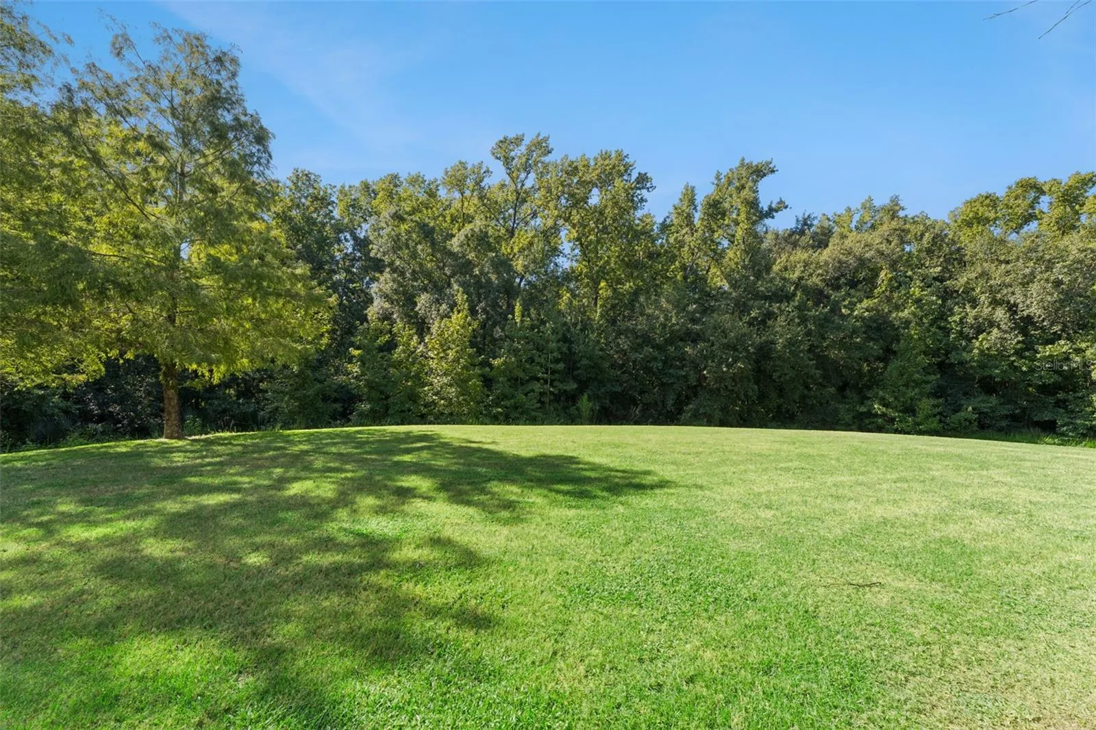 Open Green Space: Wide-open, manicured lawn area directly behind the building bordered by a mature woodland conservation backdrop.