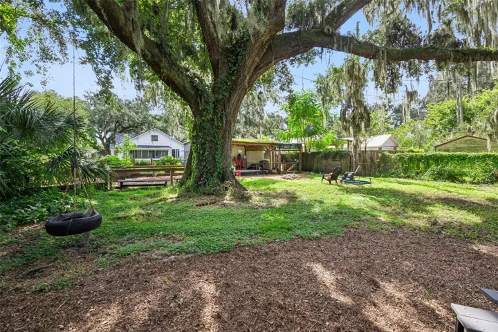 Backyard