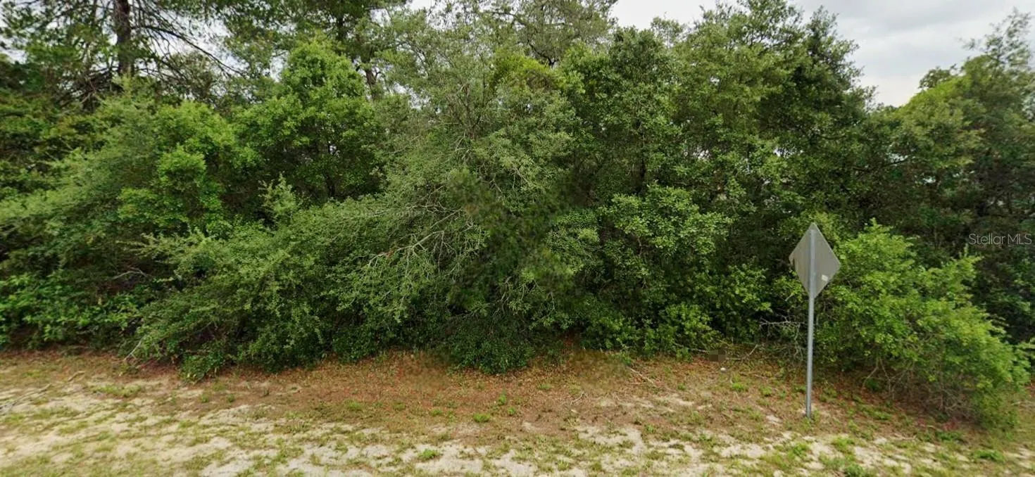 Lot 19