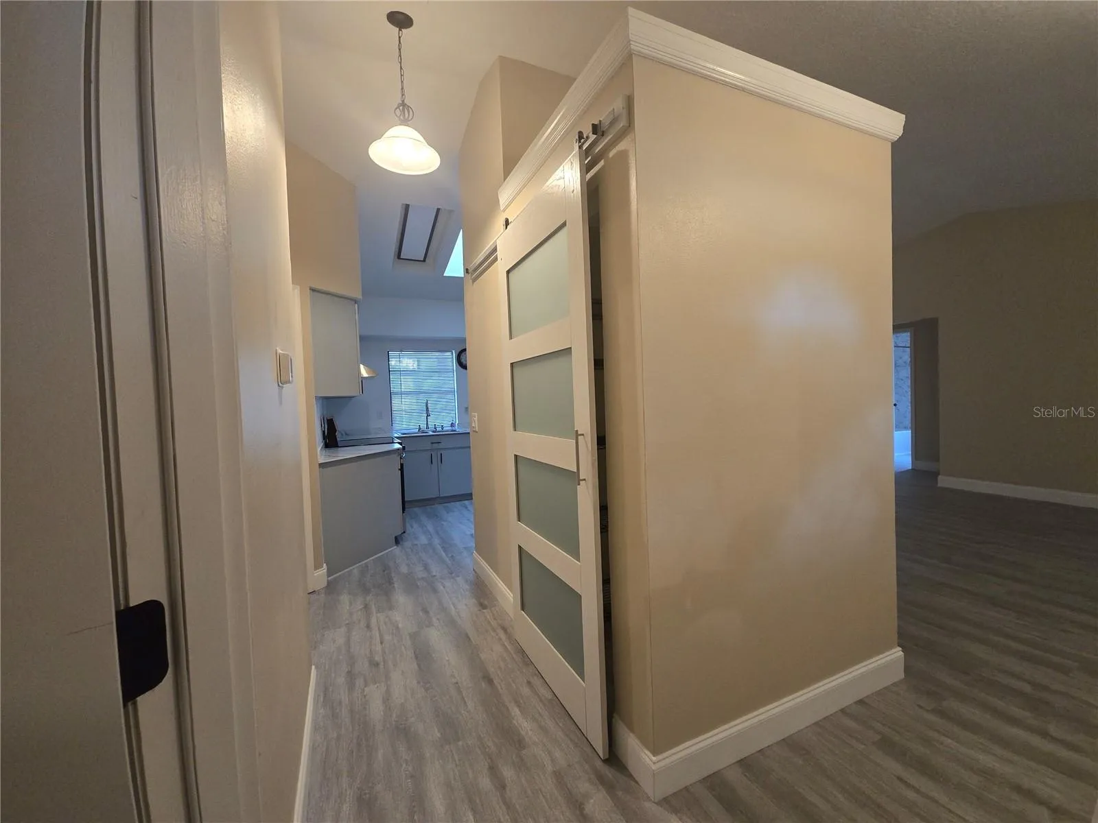 Kitchen Closet/Pantry