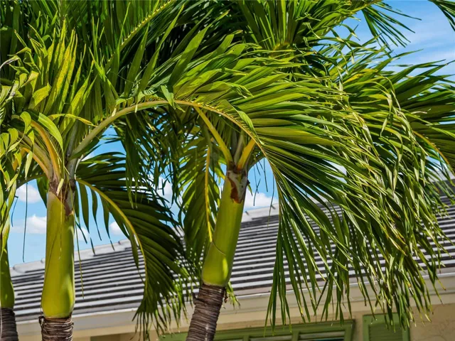 FrontExterior_2903rdStreet_BonitaSprings_TropicalLandscaping_Detail.jpg