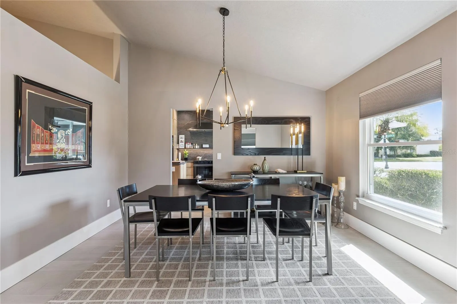 Vaulted Ceiling &amp; Natural Light